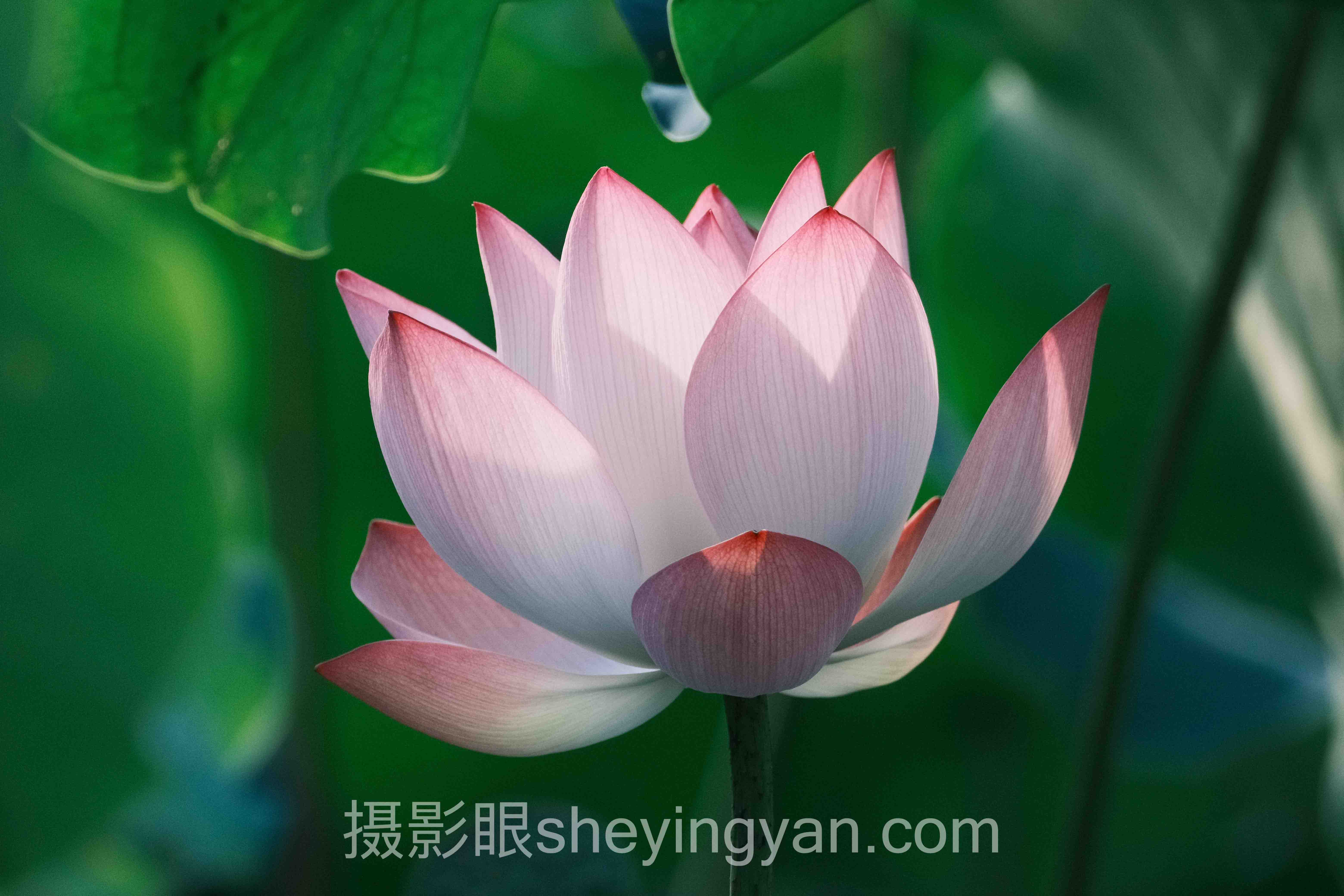 从案例看怎么测试摄影眼的方法：3个真实故事背后的方法论