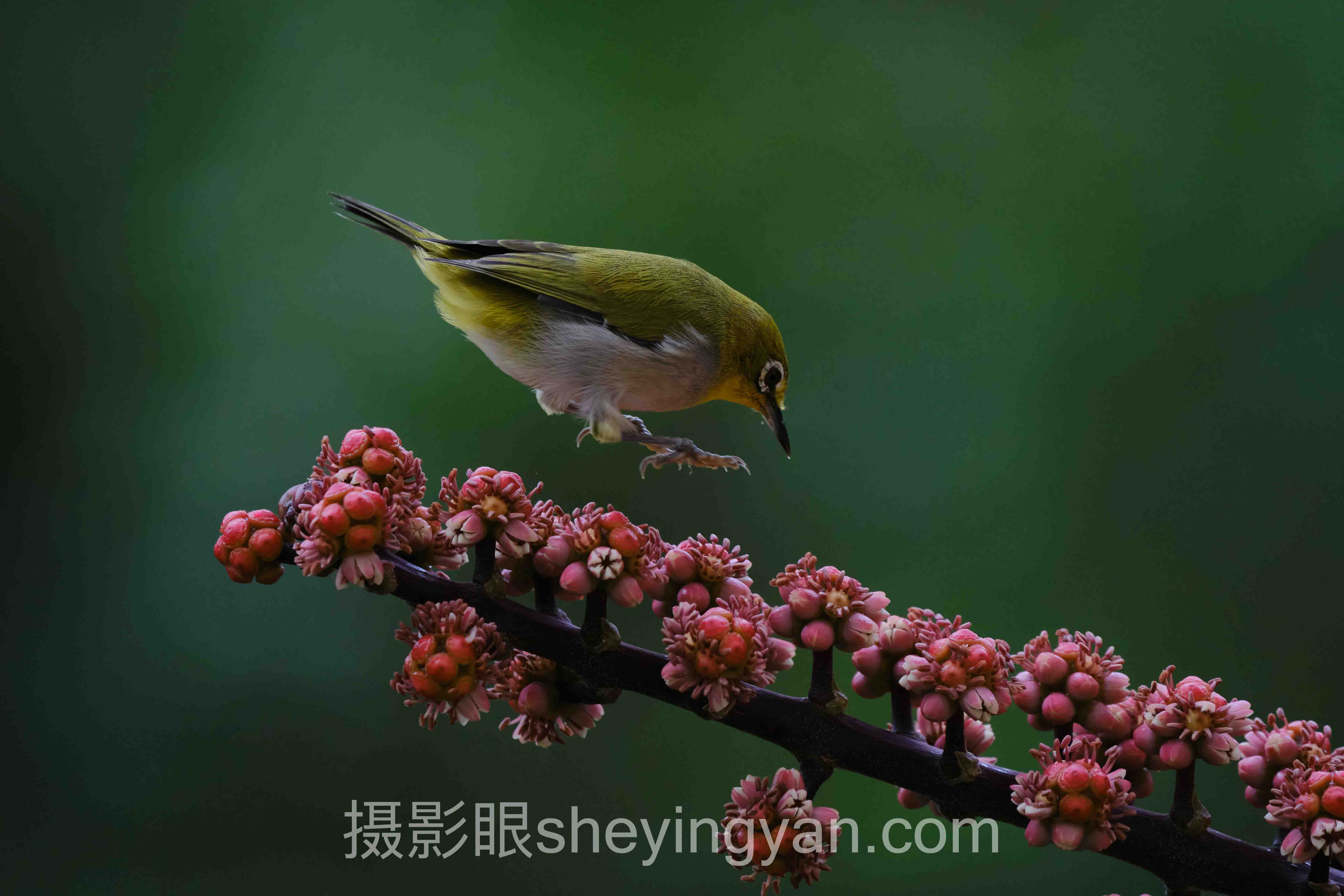 照片好不好看修图技巧实战案例拆解:3个成功实践的共同规律