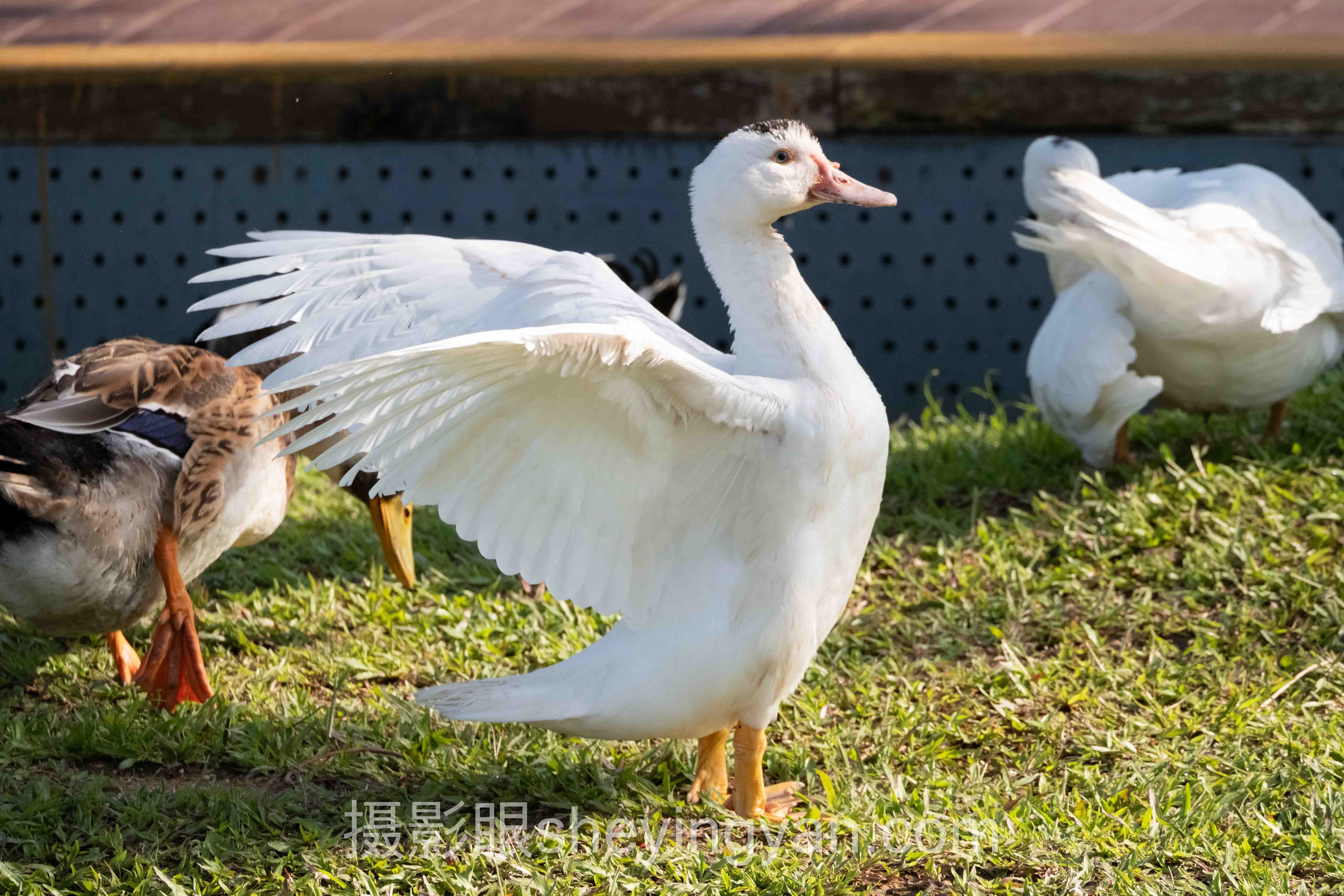 从案例看照片点评:3个真实故事背后的方法论